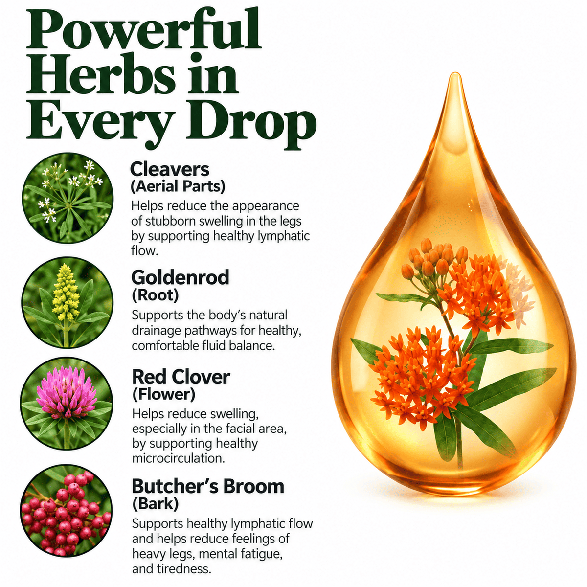Lymphoria™ | Daily Herbal Drops for Lymphatic Support
